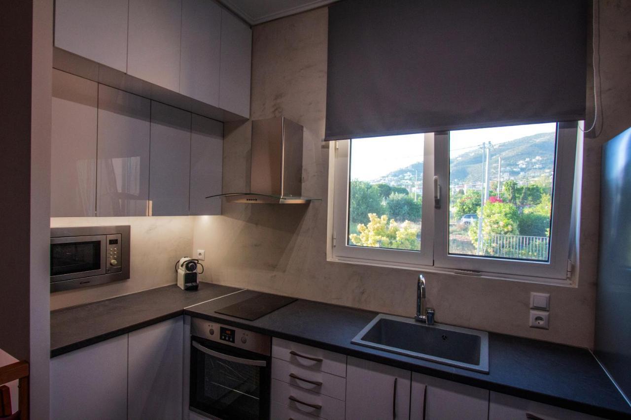 Lida Garden Loft Villa Anáviszosz Kültér fotó